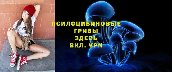 apvp Алексин