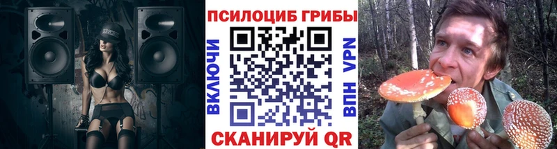 mega ссылка  Мичуринск  Псилоцибиновые грибы мухоморы 