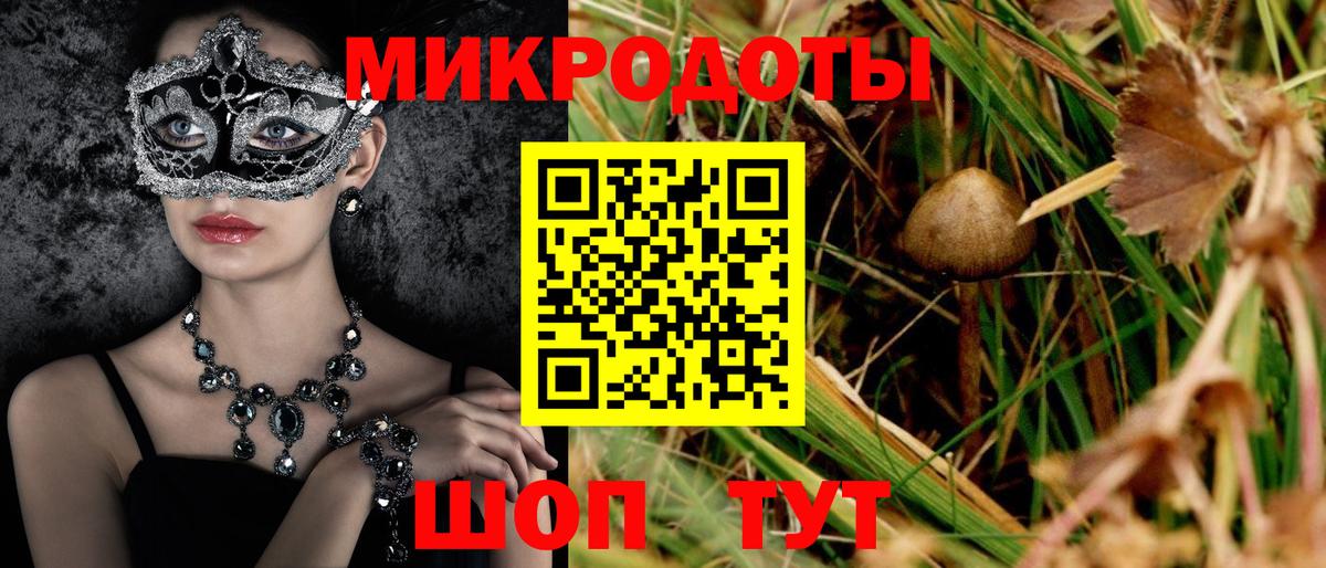 Псилоцибиновые грибы GOLDEN TEACHER  наркота  Псилоцибиновые грибы мицелий  Мичуринск  Вход с VPN 